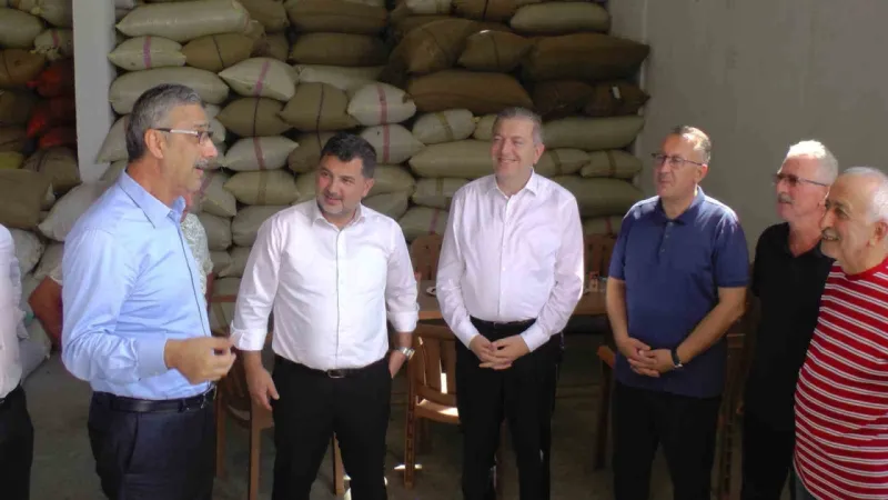 Fındık alımı sürüyor: "Piyasa zamanla rayına oturacak"