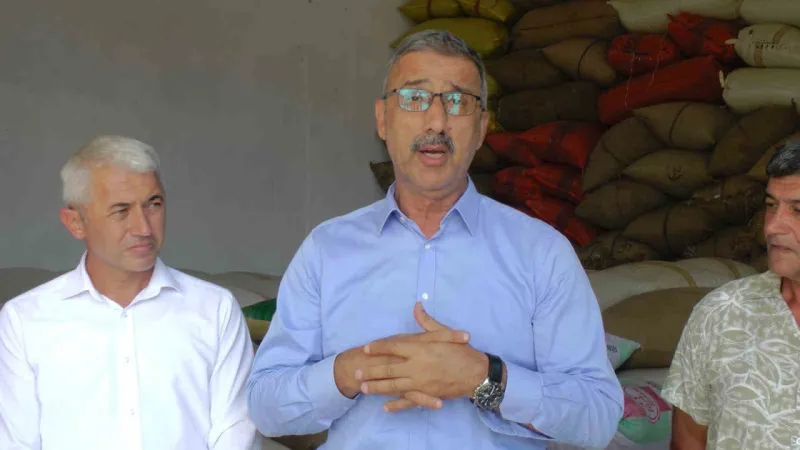 Fındık alımı sürüyor: "Piyasa zamanla rayına oturacak"