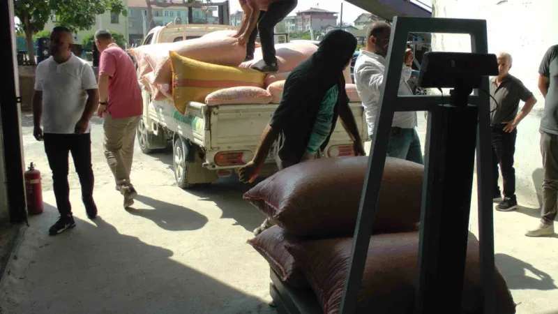 Fındık alımı sürüyor: "Piyasa zamanla rayına oturacak"