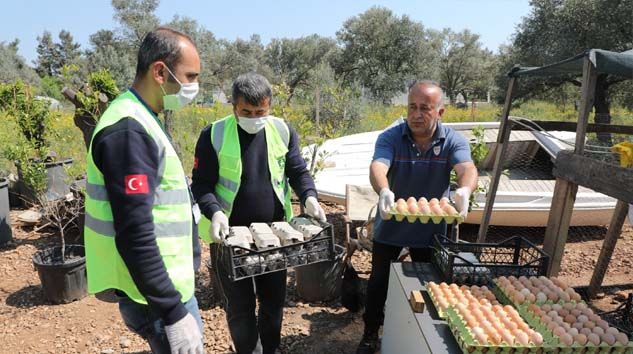 Beş bin yumurta ücretsiz dağıtıldı