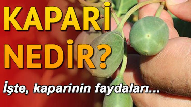 Kaparinin faydaları…