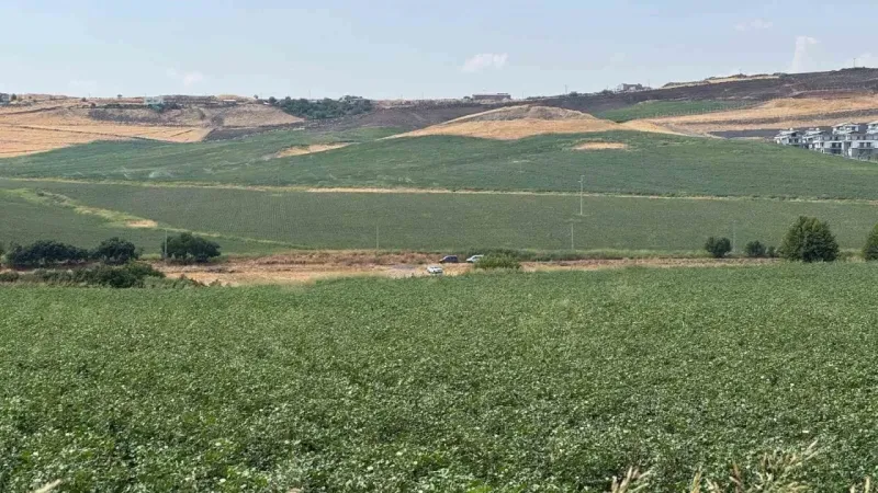 Kayıp Narin köye yakın gölet yanında çuval içinde bulundu