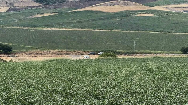 Kayıp Narin köye yakın gölet yanında çuval içinde bulundu