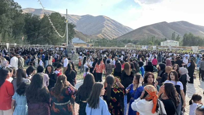 Aşiret festivaline 20 bin kişi katıldı, 300 koyun kesildi