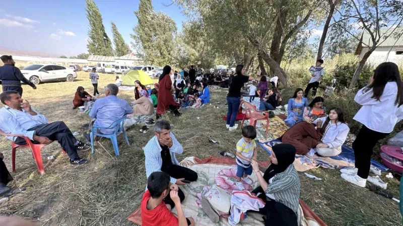 Aşiret festivaline 20 bin kişi katıldı, 300 koyun kesildi