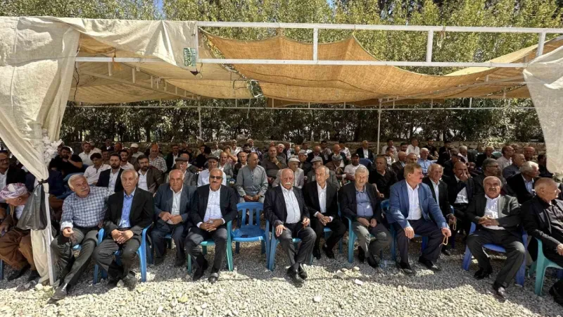 Aşiret festivaline 20 bin kişi katıldı, 300 koyun kesildi