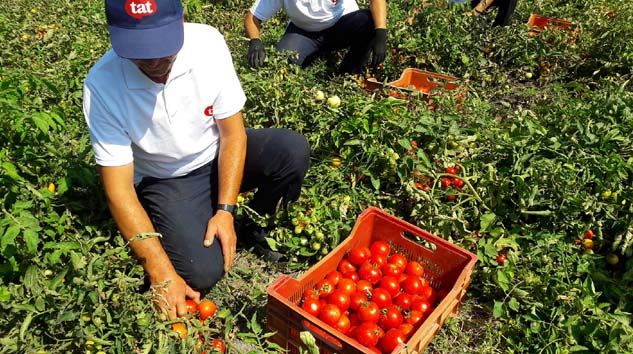 Tat’tan çiftçisine destek paketi