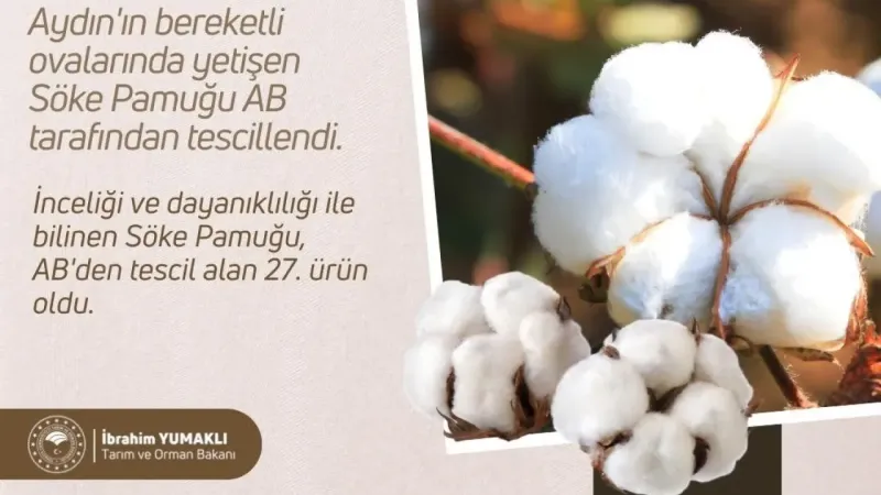 Bakan Yumaklı: "AB’den coğrafi işaret tescili alan Söke Pamuğu’yla tescilli ürün sayımız 27’ye yükseldi"