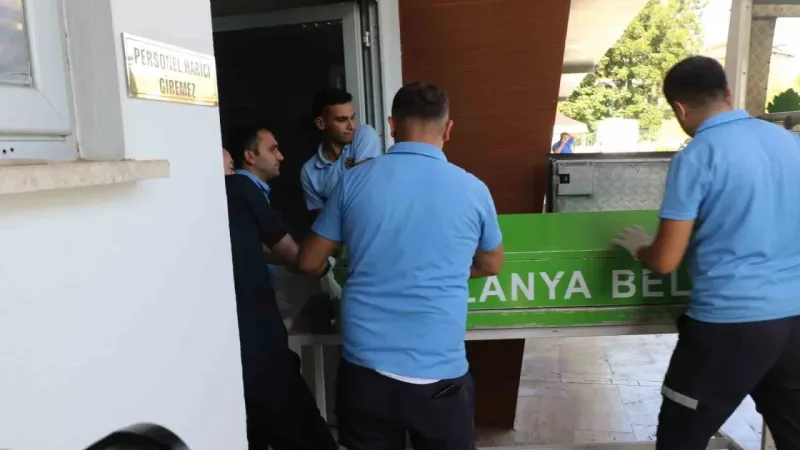 Alanya’da ’Big Mable’ eğlencesi ölümle bitti