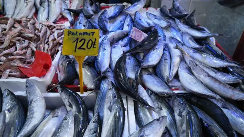 Palamut Rusya’ya kaçtı, fiyatlar 50 TL’den 120 TL’ye çıktı