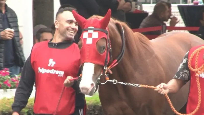 Kendilerinden önce fiyatları koştu, safkan 30 taydan sadece 3’ü satıldı Kendilerinden önce fiyatları koştu, safkan 30 taydan sadece 3’ü satıldı