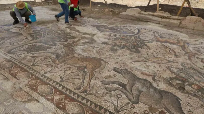 Türkiye’de bir ilk: Tek parça halinde 84 metrekarelik mozaik gün yüzüne çıkarıldı