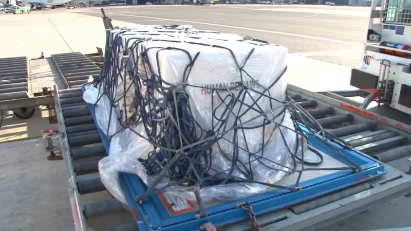 Ahu Tuğba’nın cenazesi ailesine teslim edildi Ahu Tuğba’nın cenazesi ailesine teslim edildi