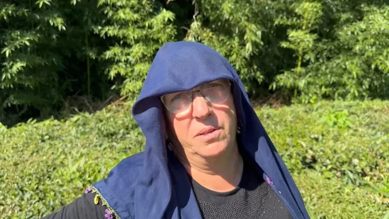 Yağışlar sonrası güneş açtı, çayda 4. sürgün gözüktü Yağışlar sonrası güneş açtı, çayda 4. sürgün gözüktü