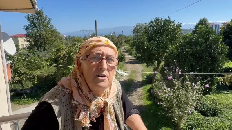 Yağışlar sonrası güneş açtı, çayda 4. sürgün gözüktü Yağışlar sonrası güneş açtı, çayda 4. sürgün gözüktü