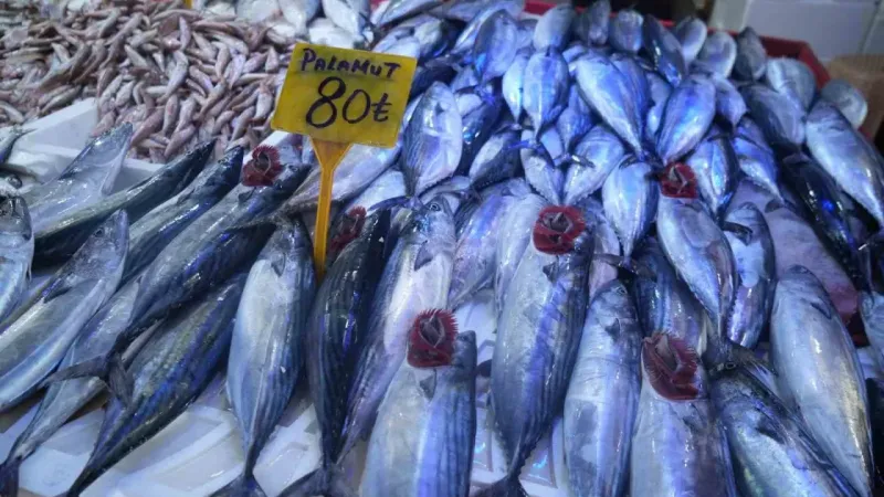 Palamudun tanesi 150 TL’den 80 TL’ye düştü Palamudun tanesi 150 TL’den 80 TL’ye düştü