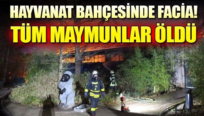 Hayvanat bahçesinde facia!