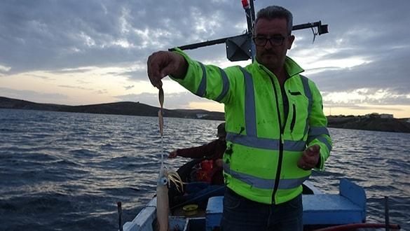 Yöre halkının geçim kaynağı oldu!