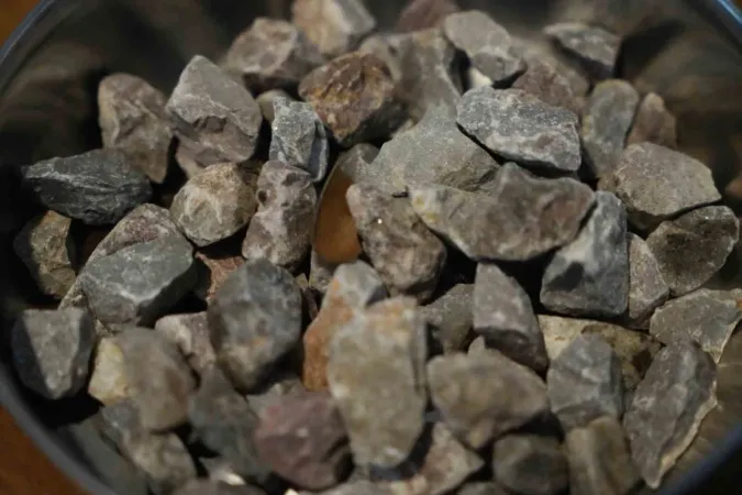 Türk araştırma firmasından Amerika’ya yangınla mücadele teklifi Türk araştırma firmasından Amerika’ya yangınla mücadele teklifi