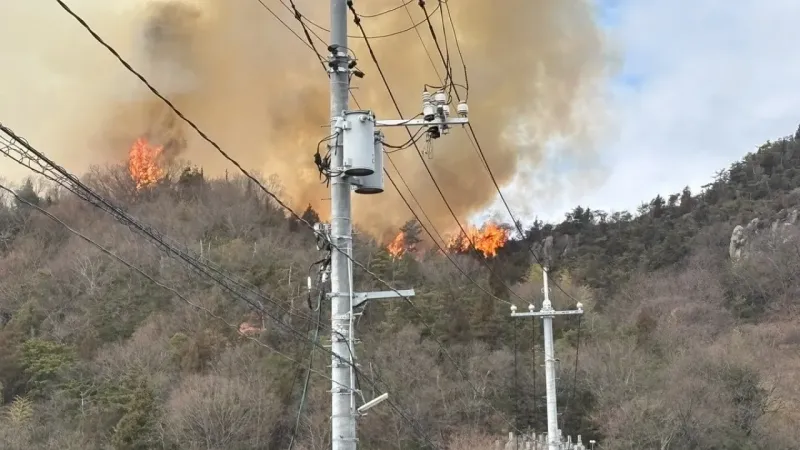 Japonya’da orman yangını: 150 kişi tahliye edildi