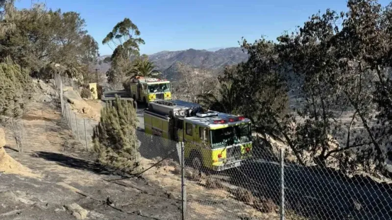 Los Angeles'taki orman yangınlarında ölü sayısı 28’e yükseldi