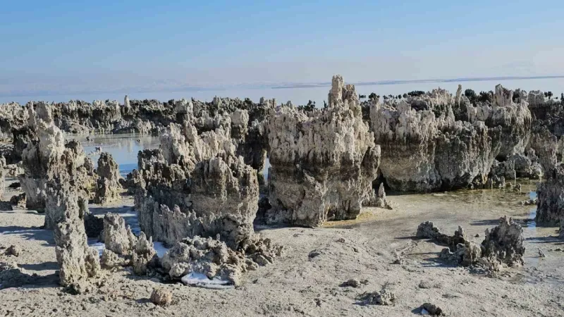 Van Gölü’nde su seviyesi düşmeye devam ediyor