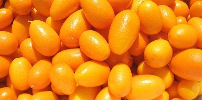 Küçücük  vitamin deposunun faydaları