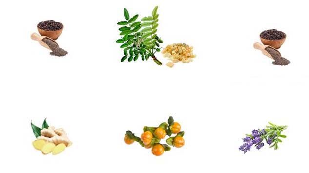 Eklem sağlığınızı fitoterapi ürünleriyle koruyabilirsiniz