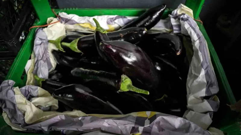 İstanbul’da patlıcan fiyatlarında dalgalanma