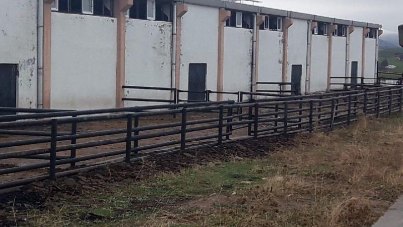 İkinci Çiftlik Bank vakası! 20 milyon lira ile sırra kadem bastılar