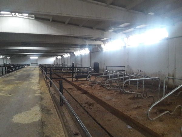 İkinci Çiftlik Bank vakası! 20 milyon lira ile sırra kadem bastılar