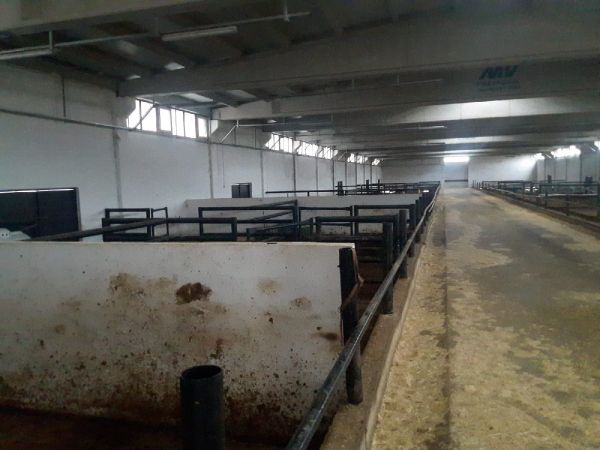 İkinci Çiftlik Bank vakası! 20 milyon lira ile sırra kadem bastılar