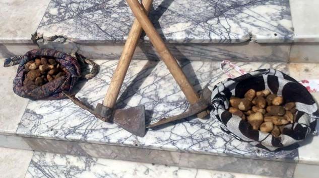 Kaçak salep soğanı toplayanlara 153 bin TL ceza kesildi