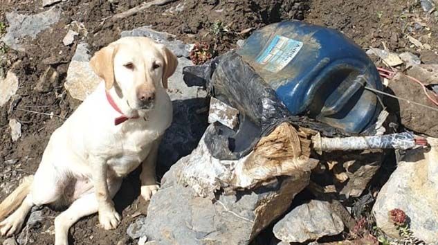 Hakkari’de TNT ve C4 ile güçlendirilmiş el yapımı patlayıcı ele geçirildi