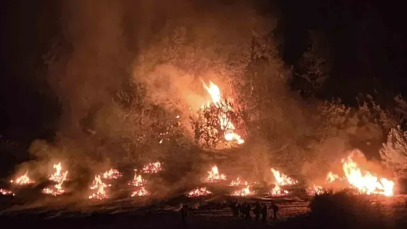 ABD’de orman yangını: 20 bin 425 dönümlük alan kül oldu ABD’de orman yangını: 20 bin 425 dönümlük alan kül oldu