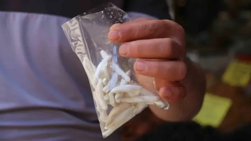 Dünyanın en pahalı sakızı, çeyrek altını geçti yarım altınla yarışıyor