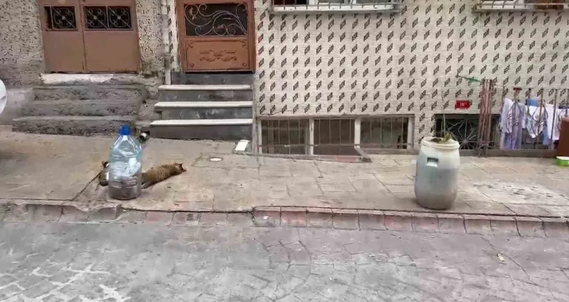 Sokaklara duba koymak yasal değil Sokaklara duba koymak yasal değil