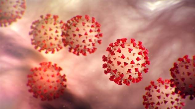 Koronavirüs karantina döneminde evde neler yapıyoruz?