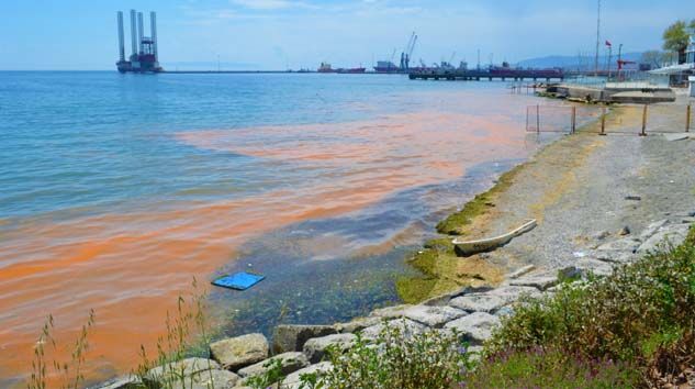 Marmara Denizi yine turuncuya büründü