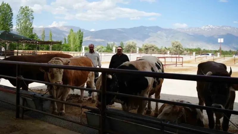 Hayvan pazarları geçici süreyle kapatıldı Hayvan pazarları geçici süreyle kapatıldı