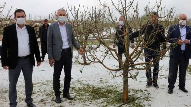 MHP’li Baki Şimşek: Dolu afetinden zarar gören üreticilere devlet yardım etmeli