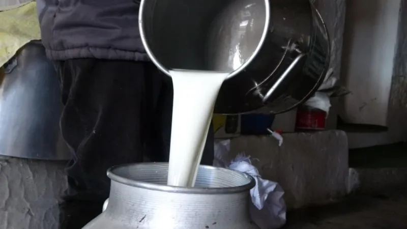 Çiğ süt fiyatları belli oldu Çiğ süt fiyatları belli oldu