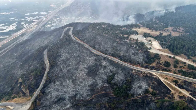 Yanan 3 bin hektar orman için 100 yıl gerekiyor Yanan 3 bin hektar orman için 100 yıl gerekiyor