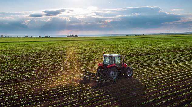 Prof. Dr. Şükrü Karataş: Pandemi sürecinde gıda ve tarıma azami önem verilmeli