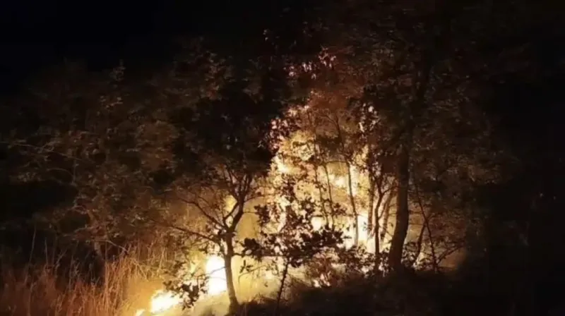 Balıkesir son bir ayda afet ve felaketlerle gündeme geldi