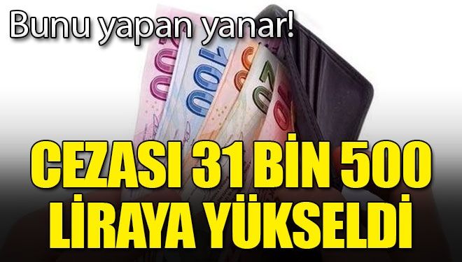 2020’de Cezası Yükseldi