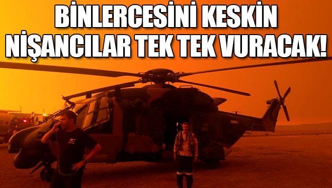 10 bin yabani deve vurularak itlaf edilecek