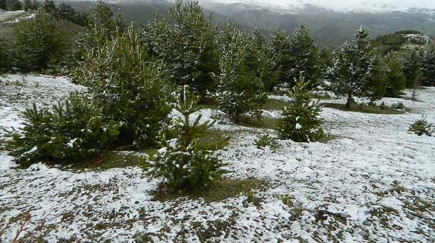 Kar Posof’u terk etmiyor