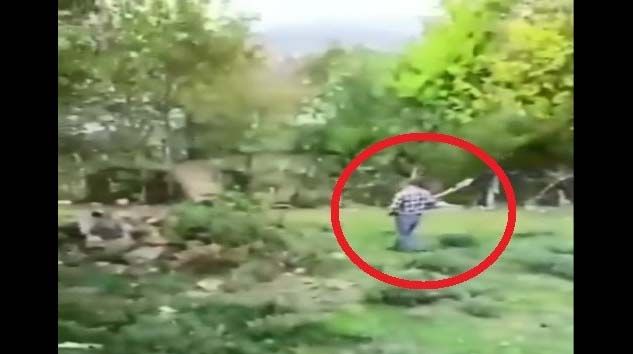 Sinop’ta köpeğini kürekle döverek öldüren kişiye 947 TL ceza