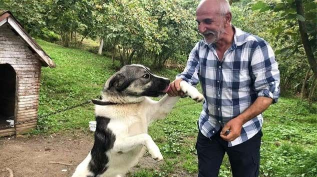 Trabzon’da Arif Danışmaz evinde ölü bulundu